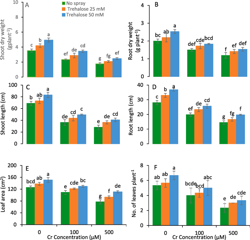 Shoot dry weight (A), root dry weight (B), shoot length (C), root length (D), leaf area (E) and number of leaves (F) of maize (Zea mays L.) plant subjected to foliarly applied varying levels of trehalose under different concentrations of chromium (Cr) stress (Mean ± S.D.).
