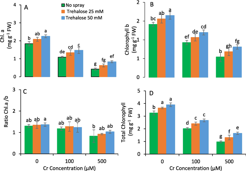 Chlorophyll a (A), chlorophyll b (B), total chlorophyll (C) and chlorophyll a/b ratio (D) of maize (Zea mays L.) plant subjected to foliarly applied varying levels of trehalose under different concentrations of chromium (Cr) stress (Mean ± S.D.).