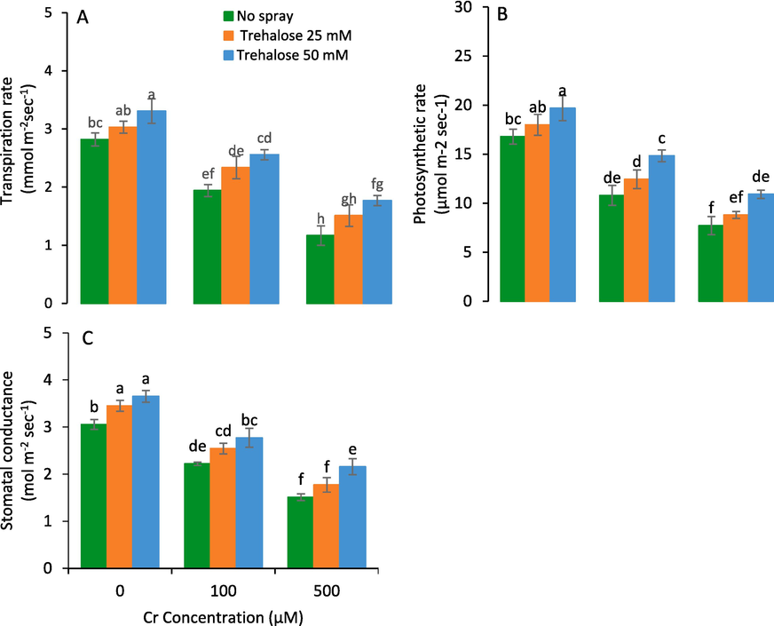 Photosynthetic rate (A), transpiration rate (B) and stomatal conductance (C) of maize (Zea mays L.) plant subjected to foliarly applied varying levels of trehalose under different concentrations of chromium (Cr) stress (Mean ± S.D.).