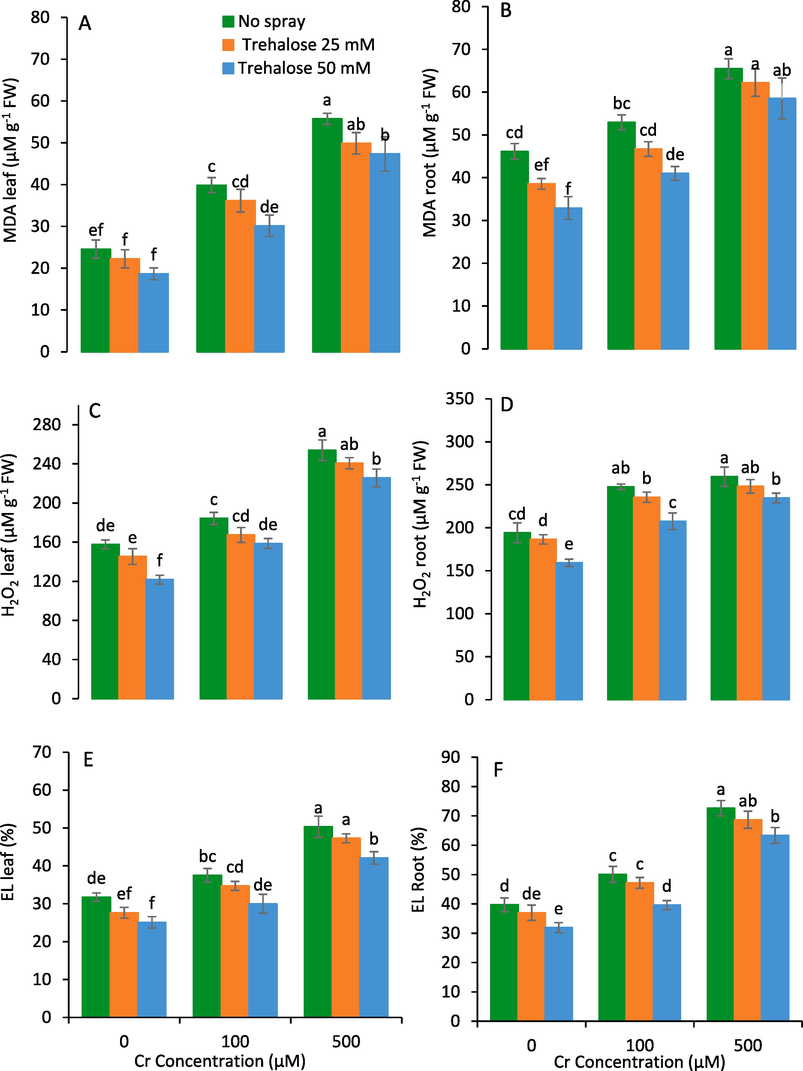 Leaf malondialdehyde (MDA) (A), root MDA (B), leaf hydrogen peroxide (H2O2) (C), root H2O2 (D), leaf electrolyte leakage (EL) (E) and root EL (F) of maize (Zea mays L.) plant subjected to foliarly applied varying levels of trehalose under different concentrations of chromium (Cr) stress (Mean ± S.D.).