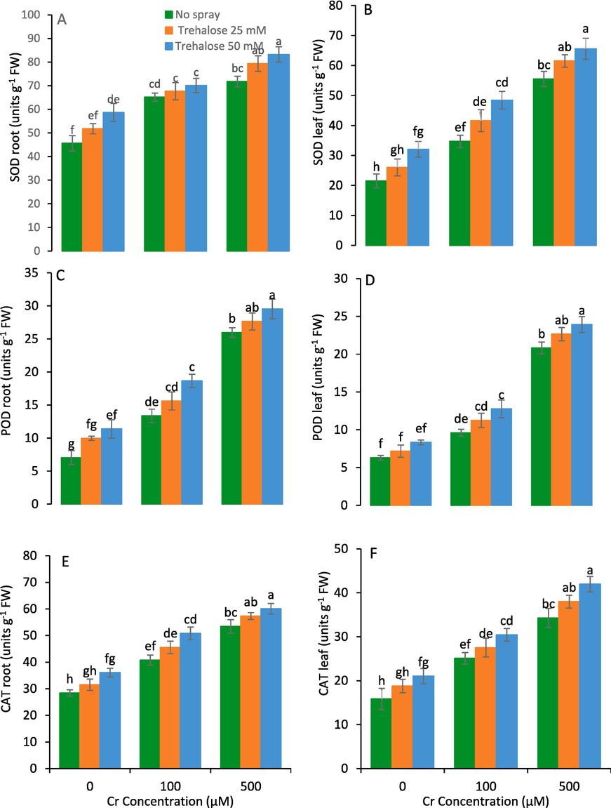 Root superoxide dismutase (SOD) (A), leaf SOD (B), root peroxidase (POD) (C), leaf POD (D), root catalase (CAT) (E) and leaf CAT (F) of maize (Zea mays L.) plant subjected to foliarly applied varying levels of trehalose under different concentrations of chromium (Cr) stress (Mean ± S.D.).