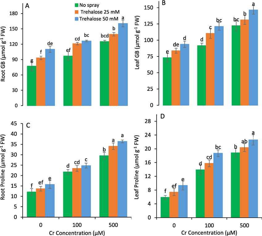 Glycinebetaine (GB) and proline of maize (Zea mays L.) plant subjected to foliarly applied varying levels of trehalose under different concentrations of chromium (Cr) stress (Mean ± S.D.).
