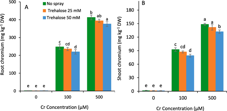 Concentration of chromium metal in root (A) and shoot (B) in maize (Zea mays L.) plant subjected to foliarly applied varying levels of trehalose under different concentrations of chromium (Cr) stress (Mean ± S.D.).