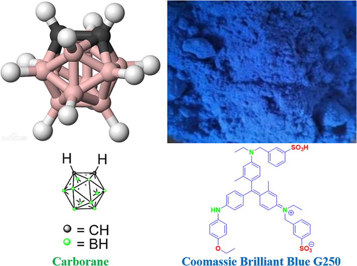 Carborane and Coomassie Brilliant Blue G250 structures. (For interpretation of the references to colour in this figure legend, the reader is referred to the web version of this article.)