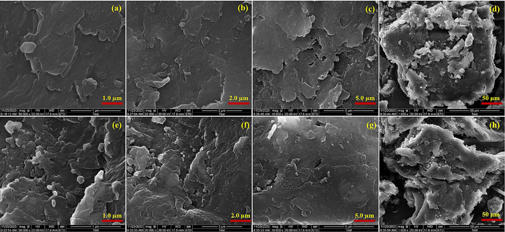 Scanning electron microscopy diagrams (a), (b), (c), (d), (e), (f), (g), and (h) of fluorescent complex LFC.