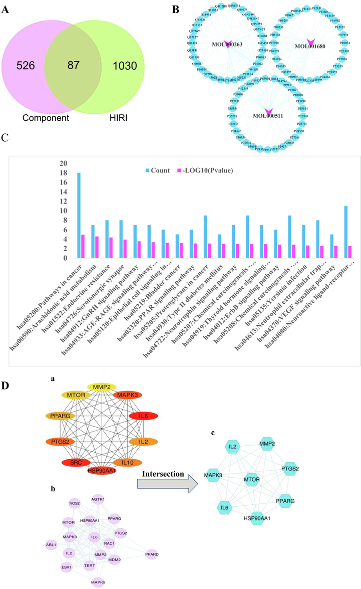 Results of network pharmacological analysis of this project.