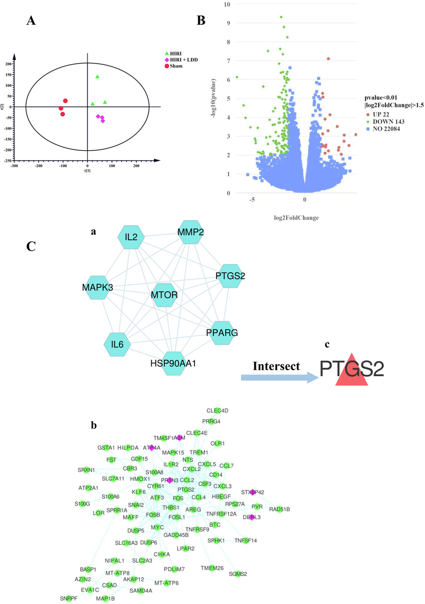 The final determination of hub gene in this study.