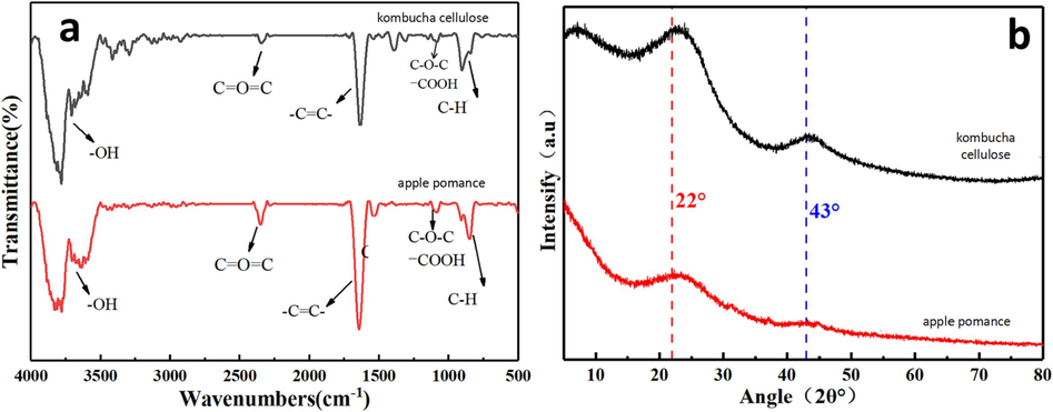 Fourier transform infrared (FTIR) spectra (at 800 °C in argon) of pyrolyzed products formed from kombucha and apple pomace cellulose. X-ray diffraction (XRD) (at 800 °C in argon) of pyrolyzed products produced from kombucha and apple pomace cellulose.