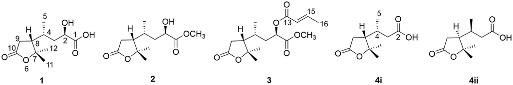 The chemical structures of compounds 1–4ii.