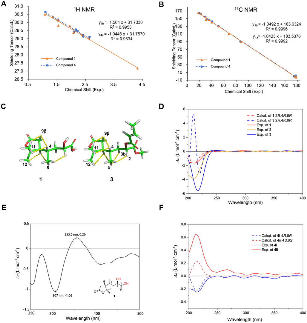 Relative and absolute configuration determination of 1, 3, 4. Linear correlation plots of experimental chemical shift versus calculated shielding tensor of 1b and 4a for 1H (A) and 13C (B). C: Key NOESY correlations of 1 and 3, illustrated by the most preferred conformer. D: Calculated ECD spectra of 1, 3 and experimental spectra of 1–3. E: The Mo2(OAc)4 induced ECD spectrum of 1. F: Calculated and experimental ECD spectra of 4i, 4ii.