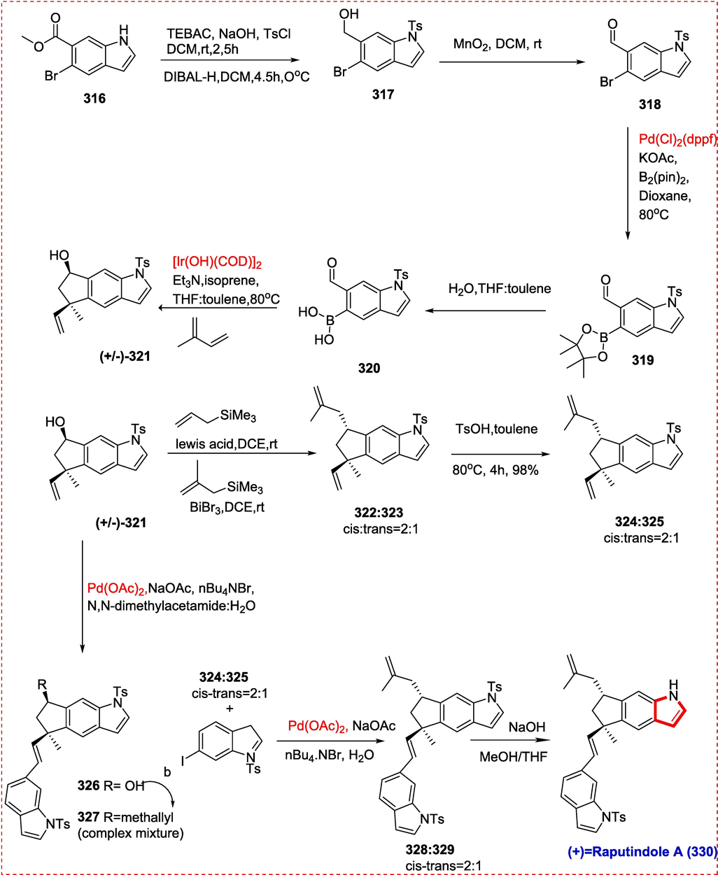 Total synthesis of (+)-Raputindole A.