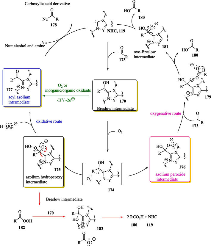 Possible mechanisms for the aerobic oxidation of aldehydes to carboxylic acid derivatives (oxidative path) and carboxylic acid (oxygenative path).