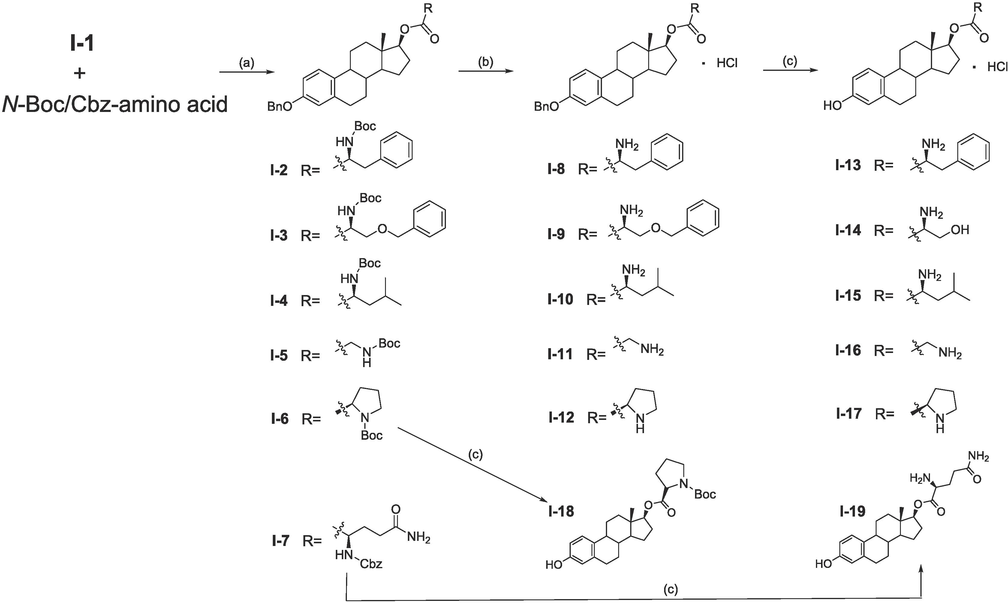 Synthesis of 17β-estradiol (17-OH)-amino acid derivatives. Reagents and conditions: (a) DCC/DMAP, CH2Cl2, rt. (b) Saturated HCl/EtOAc solution, EtOAc, rt. (c) Ammonium formate, 10 % Pd/C, MeOH/THF, reflux.