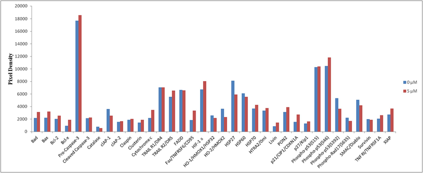 Expression of apoptosis-related proteins (Bad, Bax, Bcl-2, Bcl-x, Pro-Caspase-3, Cleaved Caspase-3, Catalase, clAP-1, clAP-2, Claspin, Clusterin, Cytochrome c, TRAIL R1/DR4, TRAIL R2/DR5, FADD, Fas/TNFRSF6/CD95, HIF-1α, HO-1/HMOX1/HSP32, HO-2/HMOX2, HSP27, HSP60, HSP70, HTRA2/0mi, Livin, PON2, p21/CIP1/CDKN1A, p27/Kip1, Phospho-p53(S15), Phospho-p53(S46), Phospho-p53(S392), Phospho-Rad17(S635), SMAC/Diablo, Survivin, TNF RI/TNFRSF1A, XIAP) after 48 h of I-12 treatment.