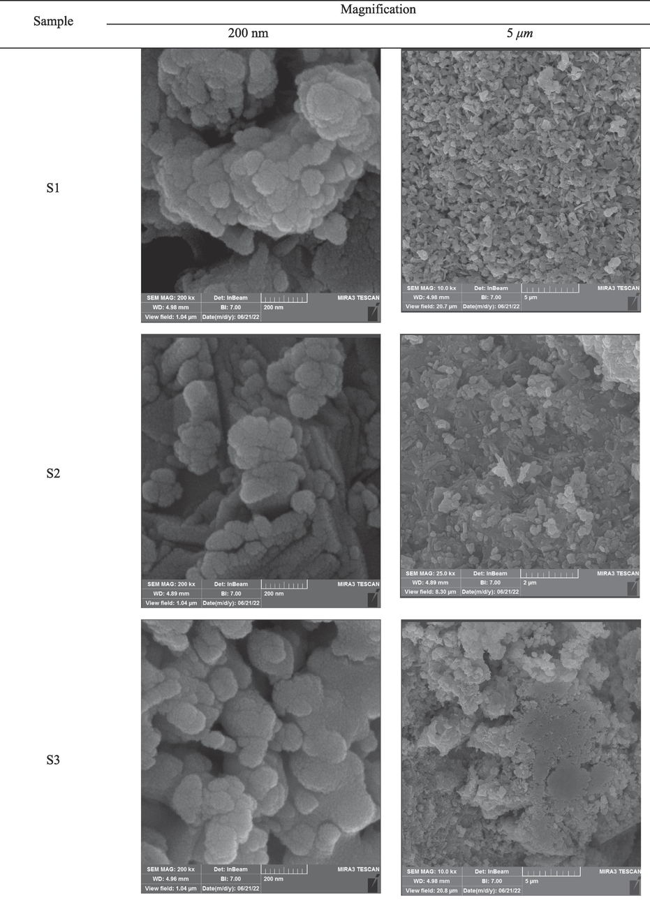 FESEM pictures of Ni/Co alloy obtained from the reduction reaction with different compositions of granule (at 15 min).