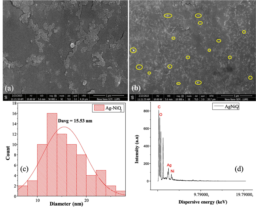 (a-b) SEM images, (c) particle size distribution, (d) elemental analysis of the synthesized nanocomposite.