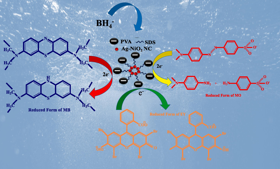 Possible mechanism of catalytic degradation of dyes by Ag-NiO2@PVA.
