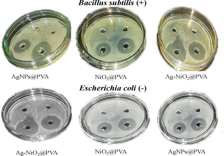 Comparative antimicrobial activity of synthesized nanocomposite.
