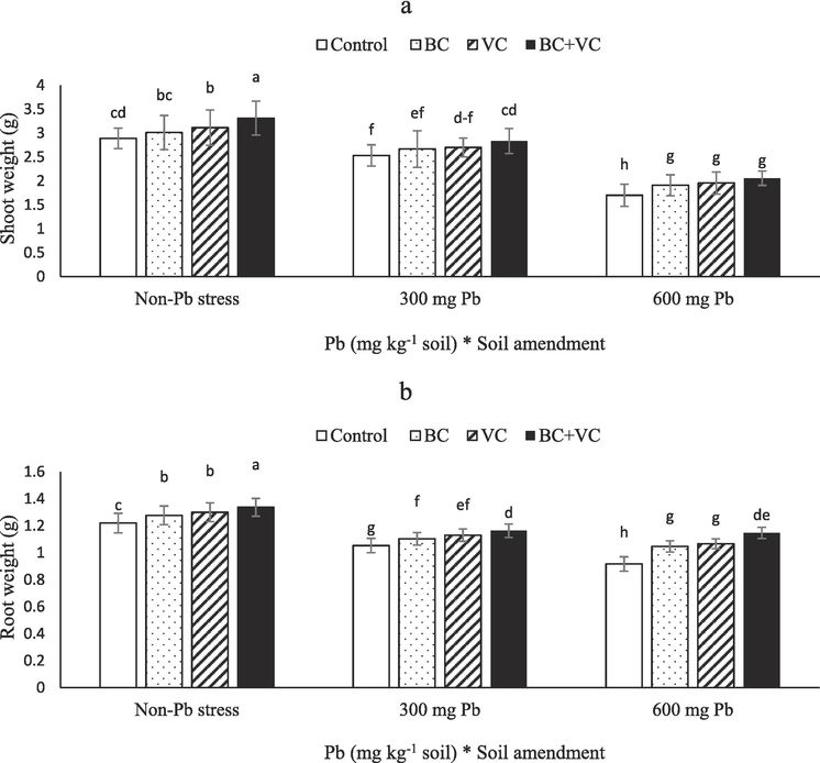 Shoot weight (a) and root weight (b) of summer savory plants under soil amendments (biochar and vermicompost) in Pb-polluted soils. Values are means ± standard deviation (SD). Different letters represent statistically significant differences among treatments at P ≤ 0.05.