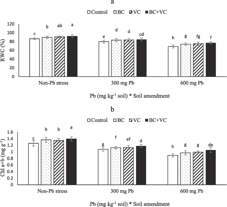 Relative water content (RWC, a) and chlorophyll (Chl) a + b (b) of summer savory plants under soil amendments (biochar and vermicompost) in Pb-polluted soils. Values are means ± standard deviation (SD). Different letters represent statistically significant differences among treatments at P ≤ 0.05.