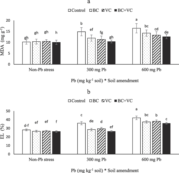 Malondialdehyde (MDA, a) and electrolyte leakage (EL, b) of summer savory plants under soil amendments (biochar and vermicompost) in Pb-polluted soils. Values are means ± standard deviation (SD). Different letters represent statistically significant differences among treatments at P ≤ 0.05.