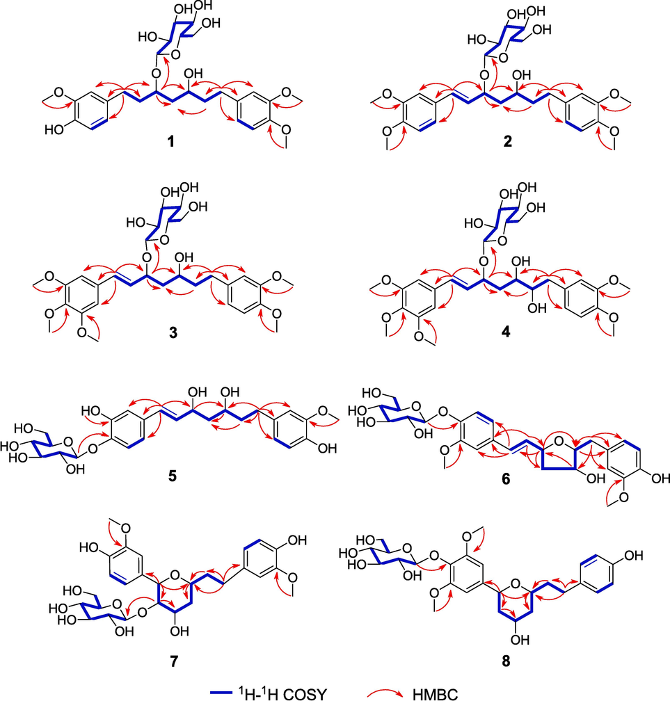 Key HMBC and 1H–1H COSY correlations of compounds 1–8.