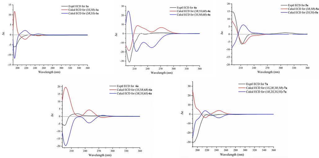 Experimental and calculated ECD spectra of compounds 1a and 4a-7a.