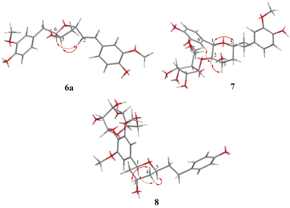 Key NOESY correlations of compounds 6a, 7, and 8.