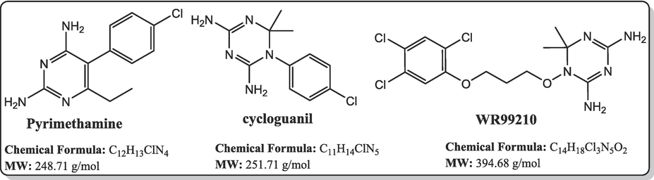 Known antifolate antimalarials that are active-site inhibitors of the P. falciparum dihydrofolate reductase, a common target in the de novo folate synthesis pathway.
