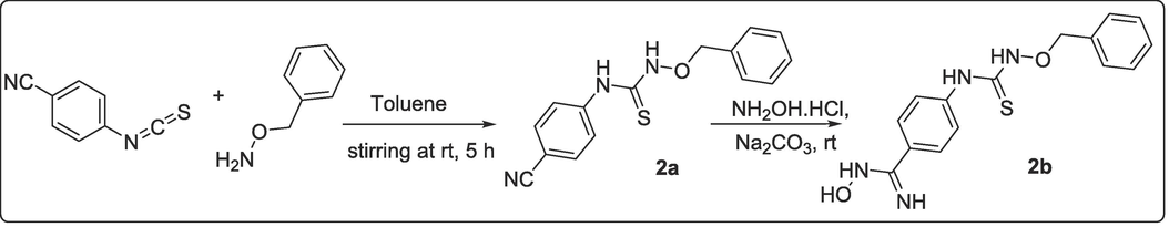 Synthetic pathway for achieving the designed amidoximyl- analog, 2b.