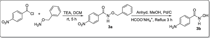 Synthetic pathway for achieving the designed amidoximyl- analogs, 3b.