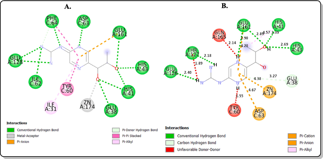 2D interactions with the amino acid residues in the binding site of the protein target (PDB ID: 1Y13) (A) co-crystallized biopterin (B) redocked biopterin.
