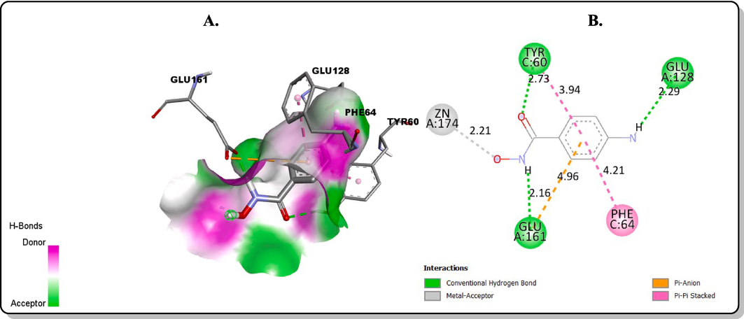 Molecular docking interactions between 3b and the binding sites of PfPTPS: (A) 3D model (B) 2D model.