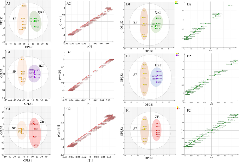 OPLS-DA analysis score chart and S-Plot chart of Aconitum pendulum raw and processed products based on 1H NMR (A, B, C) and UPLC-Q-TOF-MS (D, E, F) method. Number 1 is the OPLS-DA analysis score chart, and number 2 is the S-Plot chart.