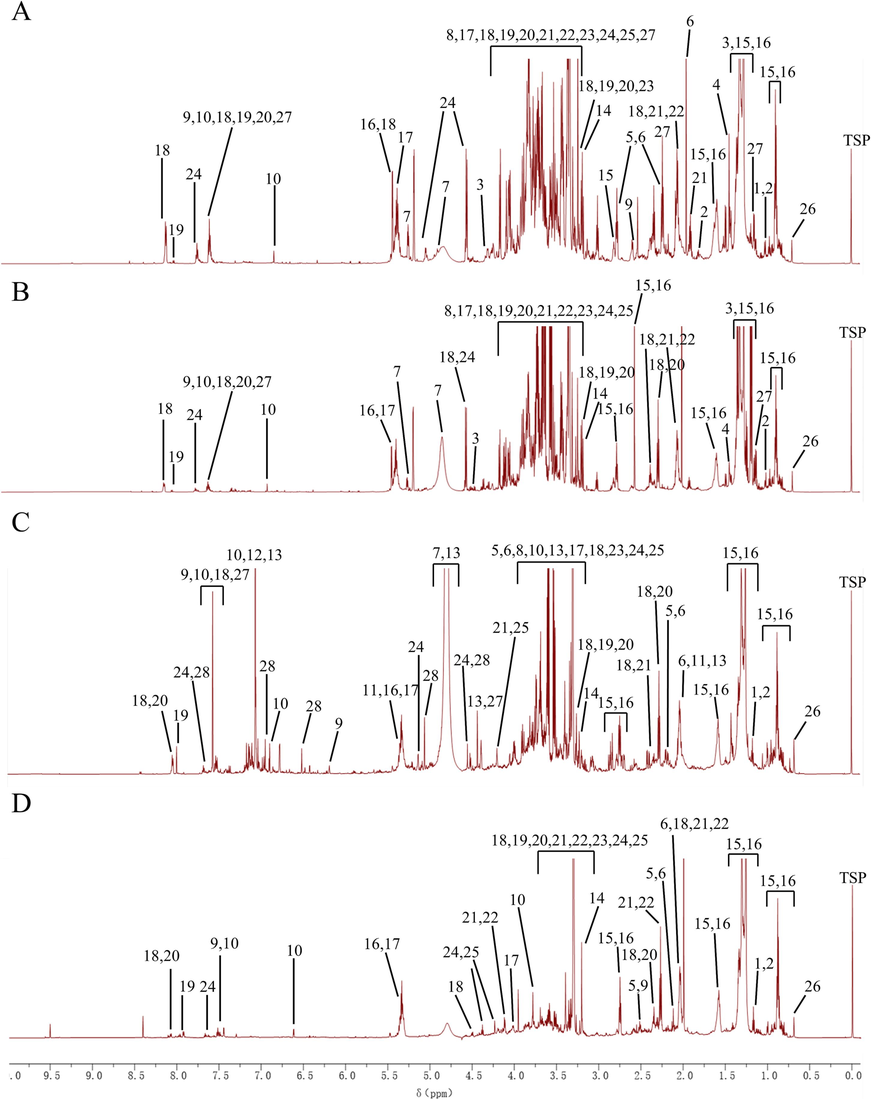 Representative 1H NMR spectra of Aconitum pendulum and three processed products. (A) SP product powder; (B) QKJ product powder; (C) HZT product powder; (D) ZB product powder. 1, Isoleucine; 2, Valine; 3, Threonine; 4, Alanine; 5, Proline; 6, Glutamate; 7, Cystine; 8, Glycine; 9, Caffeic acid (CA); 10, Ferulic acid (FA); 11, Quinic acid; 12, Gallic acid; 13, Chebulic acid; 14, Choline; 15, Saturated fatty acids; 16, Unsaturated fatty acids; 17, Sucrose; 18, 3-Acetylaconitine (AAC); 19, Aconitine; 20, Hypaconitine; 21, Neoline; 22, 14-O-acetylneoline; 23, Talatisamine; 24, Benzoylaconitine (BAC); 25, Fuziline; 26, Sterols; 27, Diisobutyl phthalate; 28, Rutin.