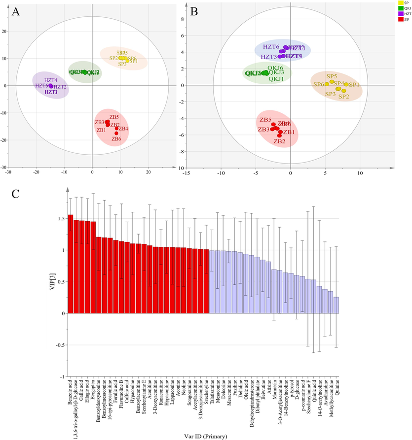 PCA analysis score chart and load chart of different processed products of Aconitum pendulum. (A) PLS-DA score map of 1H NMR; (B) PLS-DA score chart of UPLC-Q-TOF-MS; (C) VIP diagram of UPLC-Q-TOF-MS, the horizontal axis is in order from left to right 1: Benzoic acid; 2: 1,3,6-tri-o-galloyl-β-D-glucose; 3: Gallic acid; 4: Ellagic acid; 5: Bergapten; 6: Benzoyldeoxyaconine; 7: Benzoylmesaconine; 8: 16-epi-pyroaconitine; 9: Ferulic acid (FA); 10: Flavumoline B; 11: Caffeic acid (CA); 12: Hypaconine; 13: Benzoylaconitine (BAC); 14: Szechenyianine E; 15: Aconitine; 16: 3-Deoxyaconitine; 17: Ranaconitine; 18: Hypaconitine; 19: Lappaconine; 20: Aconine; 21:Neoline; 22: Songoramine; 23: 3-Acetylaconitine (AAC); 24: 3-Deoxyjesaconitine; 25: Szechenyine; 26: Talatisamine; 27: Mesaconine; 28: Delcorine; 29: Mesaconitine; 30: Fuziline; 31: Deltaline; 32: Oleic acid; 33: Dehydroepiandrosterone; 34: Dibutyl phthalate; 35: Beiwutine; 36: Atisine; 37: Marmesin; 38: 3-O-Acetyljesaconitine; 39: 14-Benzoylneoline; 40: p-tyrosol; 41: D-glucose; 42: p-coumaric acid; 43: Szechenyianine F; 44: Quinic acid; 45: 14-O-acetylneoline; 46: Avadharidine; 47: Methyllycaconitine; 48: Quinine.