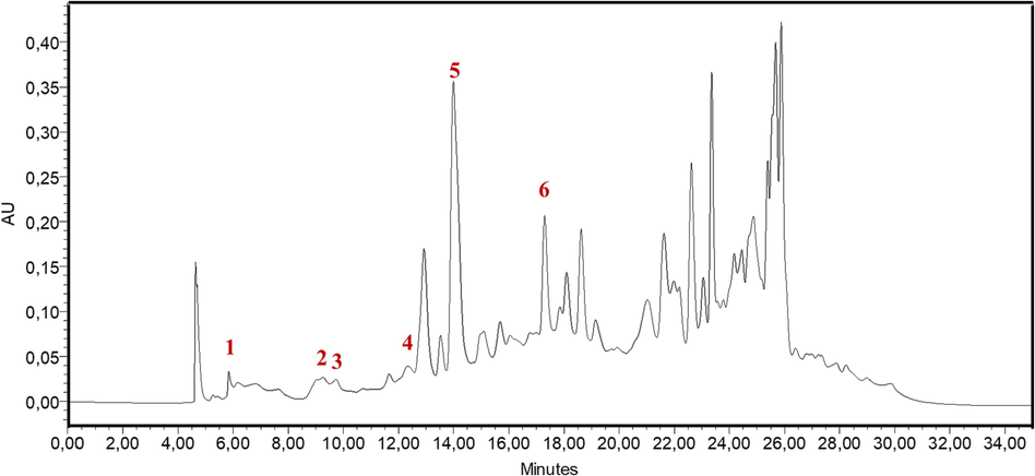 HPLC-DAD chromatogram patterns of HHLE: (1) p-hydroxybenzoic acid, (2) Naringenin, (3) Rutin, (4) Quercetin, (5) Kaempferol, and (6) Trans chalcone.