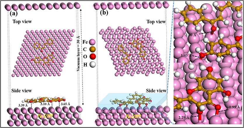 Inhibitor molecules adsorbed on Fe (1 1 0) surface: Side and top views with initial (a) and final (b) adsorption profiles.