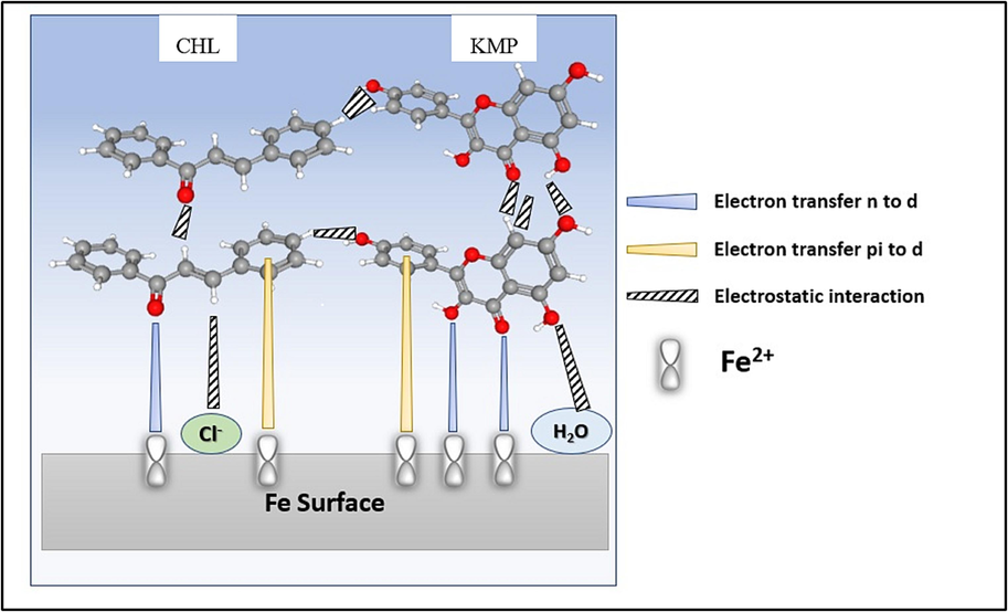 Schematic depiction of the interaction mechanism between HHLE molecules and XC18 surface for extraordinary corrosion performance.