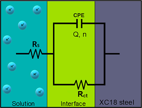 The proposed circuit model for impedance results modeling.