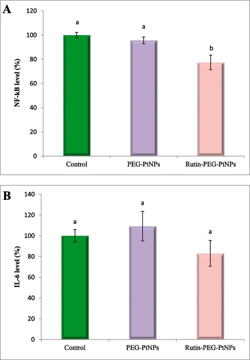 Effect of PEG-PtNPs and Rutin-PEG-PtNPs on A) NF-κB and B) IL-6 level in supernatant from MCF-7 cell culture. Rutin-PEG-PtNPs caused an increase in the level of both cytokines. Different letters show significant differences (p < 0.05).