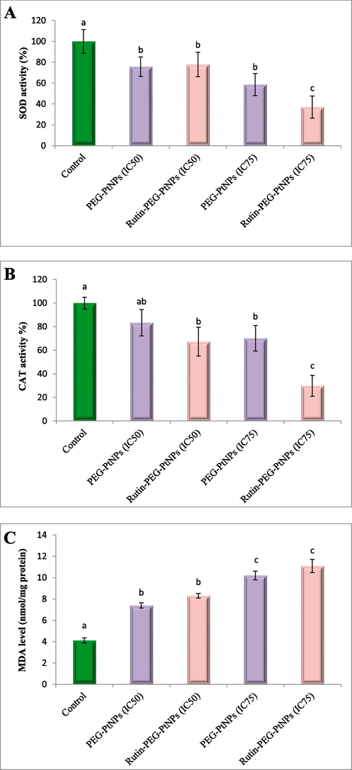 Study of the oxidative stress biomarkers in NP-treated cancer cells. (A) SOD activity, (B) CAT activity, and (C) MDA level. Different letters display significant differences (p < 0.05).