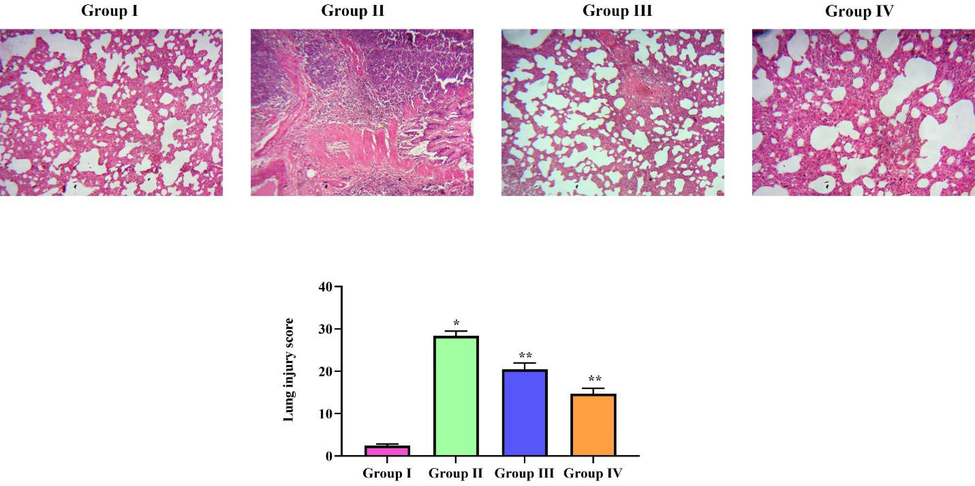 Protective effect of natural pigment zeaxanthin against LPS induced lung histopathological changes in mice. BALB/c male mice were induced acute lung inflammation with LPS. Lung tissue of LPS and zeaxanthin treated mice were processed and stained with H&E stain. The tissue section were subjected to lung injury scoring. A) Control B) ALI induced C) ALI induced treated with 25 mg/kg zeaxanthin D) ALI induced treated with 50 mg/kg zeaxanthin. Results were statistically analyzed with GraphPad Prism software. One-way ANOVA followed by Student’s t test was done. Statistical significance p < 0.05. n = 6 mice.