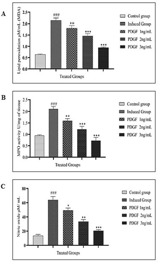 Fig. 3 A Lipid peroxidation estimation Fig. 3 B MPO estimation Fig. 3C Nitric oxide estimation Fig. 3A showed the LPO estimation in untreated, induced and treated groups. LPO was very high in induced group compared to control with very high significance (#) and decreased in treated groups in dose dependent manner compared to induced group (*). One way ANOVA was performed. ### - P < 0.0001, ** - P < 0.001, *** - P < 0.05. Fig. 3B showed the MPO estimation in control, induced and treated groups. MPO was very high in induced group compared to control with high significance. Gradual decrease of MPO was observed in treated groups in dose dependent manner compared to induced group. One way ANOVA was performed. # - indicates the comparison between control and induced group. * - indicates the comparison between induced and treated group. ### - P < 0.0001, ** - P < 0.001, *** -P < 0.0001 Fig. 3C showed the estimation of Nitric oxide level in control, induced and treated groups. NO level was high in induced group and gradually decreased in treated groups as dose dependent manner. One way ANOVA was performed. # - indicates the comparison between control and induced group. * - indicates the comparison between induced and treated group. ### - P < 0.0001, * - P < 0.05, ** - P < 0.001, *** -P < 0.0001.