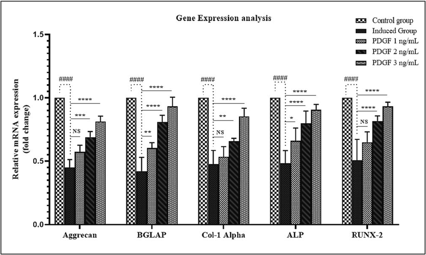 Gene expression analysis Fig. 8 showed the Gene expression analysis of IVD disc in BALB/c mice. Aggrecan, Osteocalcin (BGLAP), Collagen I α, Alkaline Phosphatase (ALP) and RUNX-2 gene expression were analysed using qPCR normalization with β actin gene. Figure showed the reduced gene expression levels in induced group, whereas the progressive upregulation was observed in treated groups in dose dependent manner compared to control group. # - indicates the comparison between control and induced group. * - indicates the comparison between induced and treated group. NS – Non significant, * - P < 0.05, **- P < 0.001, ***-P < 0.0001.