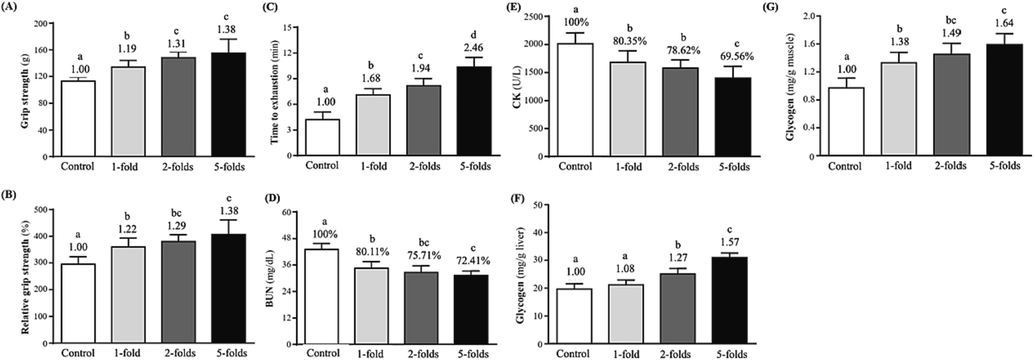 The effect of rAPS supplementation on (A) grip strength, (B) relative grip strength (%), (C) time to exhaustion in swimming tests, (D) blood urea nitrogen (BUN) concentrations after 60 min of rest, (E) blood creatine kinase (CK) activity after 60 min of rest, (F) liver glycogen levels, and (E) muscle glycogen levels.