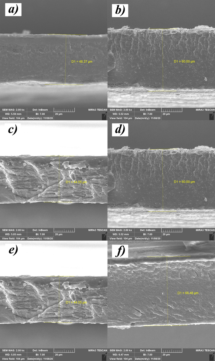 Cross-sectional images of some membrane.