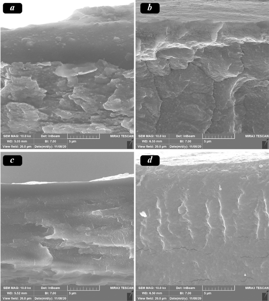 FE-SEM micrographs of samples containing a) 0, b) 20, c) 50 and d) 80 % of PVA.