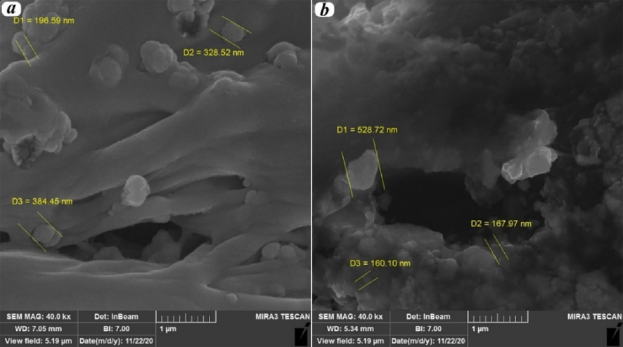 Nanoparticles’ dispersion in polymer matrix for a) Pebax20/PVA80/MgO15%, and b) Pebax80/PVA20/MgO10%.