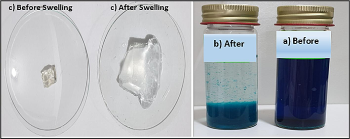 Images of a) before and b) after dye adsorption studies by SA-g-P(ITA-co-VBS)/ RC hydrogel, and c) image of swollen SA-g-P(ITA-co-VBS)/ RC hydrogel in water (Co = 700 mg/ L; m = 0.05 g; pH = 7; T = ∼25 °C).
